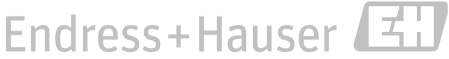 Endress+Hauser